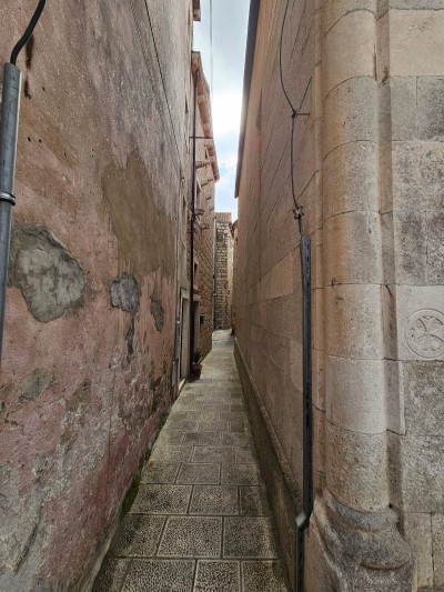 WhatsApp Image 2026-03-11 at 13.16.29 (4).jpeg